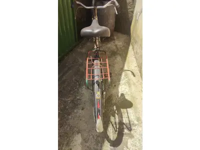 LOTE 251 - BICICLETA ANTIGA CALOI GARICKE (NO ESTADO)