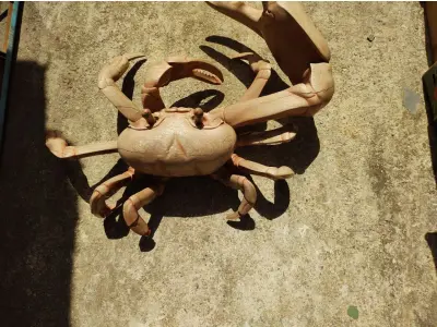 LOTE 243 - RARA E ÚNICA ESCULTURA DE CARANGUEJO IMPORTADA PEÇA RARÍSSIMA  (NO ESTADO)