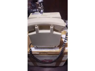 LOTE 266 - ANTIGO TELEFONE ORELHÃO DE FICHA DARUMA COMPLETO VAI COM  FICHAS TELEFÔNICAS ORIGINAIS.(NO ESTADO)