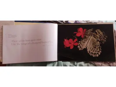 LOTE 614 - RARO LIVRO FLYING FLOWERS RICK SAMMON (NO ESTADO)