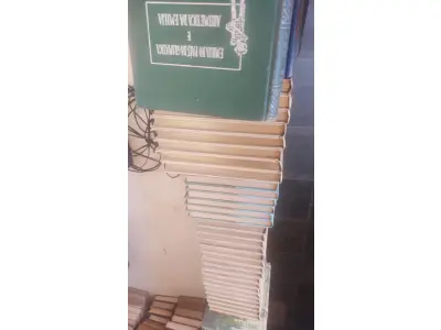 LOTE 636 - LOTE COM LIVROS INFANTIS (NO ESTADO)