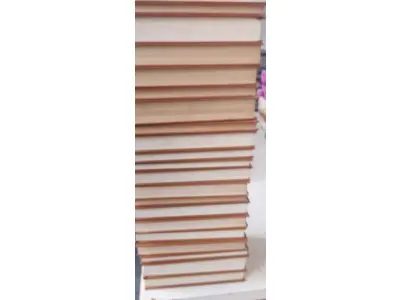LOTE 642 - COLEÇÃO LIVROS GREAT BOOKS OF THE WESTERN WORLD - 54 VOLUMES (NO ESTADO)