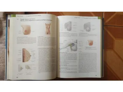 LOTE 698 - LIVRO PROMETHEUS, ATLAS DE ANATOMIA CAPA DURA . (NO ESTADO)