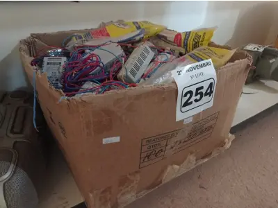 LOTE 254 - 01 LOTE COM VÁRIOS REATORES PARA LÂMPADAS FLUORESCENTE MARCAS E MODELOS DIVERSOS. (NO ESTADO) ATENÇÃO! FAZER A VISITAÇÃO ANTES DE ARREMATAR, NÃO SABEMOS SE FUNCIONA. LEILÃO NÃO TEM GARANTIA E NEM DEVOLUÇÃO, SUJEITO A POSSÍVEIS AVARIAS VISÍVEIS/OCULTAS E/OU AUSÊNCIA DE COMPONENTES.