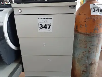 LOTE 347 - 02 GAVETEIROS COM 03 GAVETAS. (NO ESTADO) ATENÇÃO! FAZER A VISITAÇÃO ANTES DE ARREMATAR, NÃO SABEMOS SE FUNCIONA. LEILÃO NÃO TEM GARANTIA E NEM DEVOLUÇÃO, SUJEITO A POSSÍVEIS AVARIAS VISÍVEIS/OCULTAS E/OU AUSÊNCIA DE COMPONENTES.