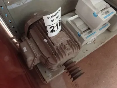 LOTE 218 - 01 MOTOR ELÉTRICO. (NO ESTADO) ATENÇÃO! FAZER A VISITAÇÃO ANTES DE ARREMATAR, NÃO SABEMOS SE FUNCIONA. LEILÃO NÃO TEM GARANTIA E NEM DEVOLUÇÃO, SUJEITO A POSSÍVEIS AVARIAS VISÍVEIS/OCULTAS E/OU AUSÊNCIA DE COMPONENTES.