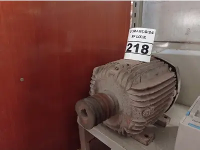 LOTE 218 - 01 MOTOR ELÉTRICO. (NO ESTADO) ATENÇÃO! FAZER A VISITAÇÃO ANTES DE ARREMATAR, NÃO SABEMOS SE FUNCIONA. LEILÃO NÃO TEM GARANTIA E NEM DEVOLUÇÃO, SUJEITO A POSSÍVEIS AVARIAS VISÍVEIS/OCULTAS E/OU AUSÊNCIA DE COMPONENTES.