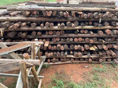LOTE 534 - 01 LOTE COM APROXIMADAMENTE 377 ESCORAS DE EUCALIPTO PARA OBRA (NO ESTADO) (RETIRADA NA SMPW QUADRA 14 CONJUNTO 5 LOTE 3)