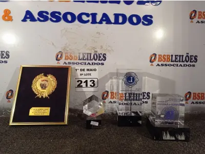 LOTE 213 - 01 LOTE COM PLACAS COMEMORATIVA DIVERSAS. (NO ESTADO) ATENÇÃO! FAZER A VISITAÇÃO ANTES DE ARREMATAR, NÃO SABEMOS SE FUNCIONA. LEILÃO NÃO TEM GARANTIA E NEM DEVOLUÇÃO, SUJEITO A POSSÍVEIS AVARIAS VISÍVEIS/OCULTAS E/OU AUSÊNCIA DE COMPONENTES.