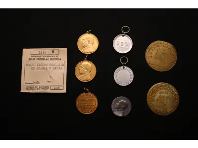 LOTE 026 - LOTE 26 – MEDALHAS SAÚDE 	MEDALHA	OBSERVAÇÕES 1.		Homenagem ao Professor Victor Ferreira do Amaral e Silva. 1934.  Gravador: José Peón	Dourada – envelope da Coleção Júlio Estrella Moreira 2.		Homenagem ao Professor Victor Ferreira do Amaral e Silva. 1934.  Gravador: José Peón	Dourada 3.		Homenagem ao Professor Victor Ferreira do Amaral e Silva. 1934.  Gravador: José Peón	Dourada 4.		Santa Casa de Misericórdia de Curitiba	Alumínio 5.		Santa Casa de Misericórdia de Curitiba	Alumínio 6.		XII Semana Odontológica Brasileira. 1955	Molde 7.		XII Semana Odontológica Brasileira. 1955	Molde 8.		Premio Dr. Nilo Cairo. Faculdade de Medicina do Paraná.1928.  Gravador: José Peón	Prateada
