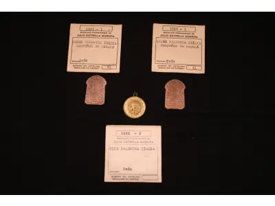 LOTE 008 - LOTE 8 – MEDALHAS PALESTRA ITÁLIA - PALMEIRAS 	MEDALHA	OBSERVAÇÕES 1.		Palestra Itália – Campeões do Paraná. 1924  Gravador: Jose Peon	Acobreada - envelope da Coleção Júlio Estrella Moreira 2.		Palestra Itália – Campeões do Paraná. 1924  Gravador: Jose Peon	Acobreada - envelope da Coleção Júlio Estrella Moreira 3.		Palestra Itália – Campeões do Paraná. 1924  Gravador: Jose Peon	Dourada - envelope da Coleção Júlio Estrella Moreira