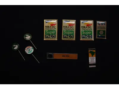 LOTE 045 - LOTE 45 – BANESTADO 	OBJETO	OBSERVAÇÕES 1.		Medalha Prateada Banestado – sem uso	3 unidades 2.		Medalha Associação Banestado – Inauguração Ginásio de Esportes-  30 de outubro de 1982	5 unidades 3.		Pin Banestado Feira do Paraná Super Plus Titulo de Capitalização.	3 unidades 4.		Pin CIN Centro Internacional de Negócios -  Banestado	1 unidade 5.		Pin 8ª Assembleia Geral da Federação Luterana Mundial – 1998 - Banestado	1 unidade 6.		Crachá de funcionário Banestado em metal	1 unidade 7.		Medalha Campeonato Paranaense de Natação – Associação Masters do Paraná. 2000. Banestado	1 unidade 8.		Medalha Honra ao Mérito - Banestado	1 unidade 9.		Alfinete de Lapela Banestado – Foz do Iguacu	1 unidade 10.		Alfinete de Lapela Banestado – Pato Branco	2 unidade