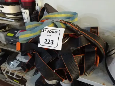 LOTE 223 - 02 CINTOS DE SEGURANÇA. (NO ESTADO) ATENÇÃO! FAZER A VISITAÇÃO ANTES DE ARREMATAR, NÃO SABEMOS SE FUNCIONA. LEILÃO NÃO TEM GARANTIA E NEM DEVOLUÇÃO, SUJEITO A POSSÍVEIS AVARIAS VISÍVEIS/OCULTAS E/OU AUSÊNCIA DE COMPONENTES.