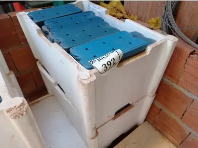 LOTE 323 - 02 CAIXAS COM GELO REUTILIZÁVEL (NO ESTADO) ATENÇÃO! FAZER A VISITAÇÃO ANTES DE ARREMATAR, NÃO SABEMOS SE FUNCIONA. LEILÃO NÃO TEM GARANTIA E NEM DEVOLUÇÃO, SUJEITO A POSSÍVEIS AVARIAS VISÍVEIS/OCULTAS E/OU AUSÊNCIA DE COMPONENTES.