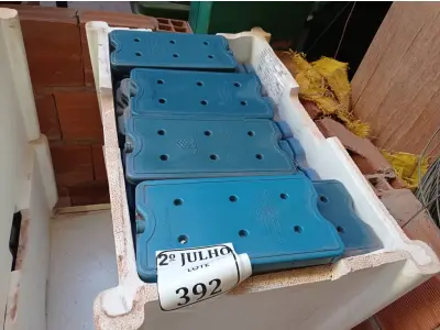 LOTE 323 - 02 CAIXAS COM GELO REUTILIZÁVEL (NO ESTADO) ATENÇÃO! FAZER A VISITAÇÃO ANTES DE ARREMATAR, NÃO SABEMOS SE FUNCIONA. LEILÃO NÃO TEM GARANTIA E NEM DEVOLUÇÃO, SUJEITO A POSSÍVEIS AVARIAS VISÍVEIS/OCULTAS E/OU AUSÊNCIA DE COMPONENTES.