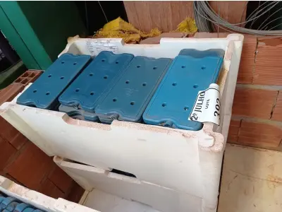 LOTE 323 - 02 CAIXAS COM GELO REUTILIZÁVEL (NO ESTADO) ATENÇÃO! FAZER A VISITAÇÃO ANTES DE ARREMATAR, NÃO SABEMOS SE FUNCIONA. LEILÃO NÃO TEM GARANTIA E NEM DEVOLUÇÃO, SUJEITO A POSSÍVEIS AVARIAS VISÍVEIS/OCULTAS E/OU AUSÊNCIA DE COMPONENTES.