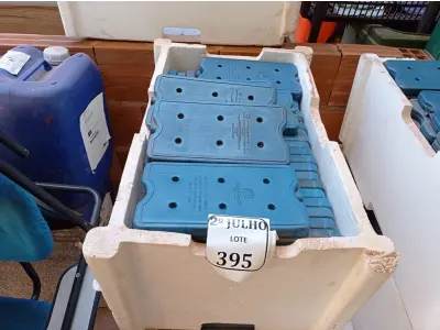 LOTE 325 - 02 CAIXAS COM GELO REUTILIZÁVEL (NO ESTADO) ATENÇÃO! FAZER A VISITAÇÃO ANTES DE ARREMATAR, NÃO SABEMOS SE FUNCIONA. LEILÃO NÃO TEM GARANTIA E NEM DEVOLUÇÃO, SUJEITO A POSSÍVEIS AVARIAS VISÍVEIS/OCULTAS E/OU AUSÊNCIA DE COMPONENTES.