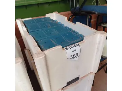 LOTE 389 - 02 CAIXAS COM GELO REUTILIZÁVEL (NO ESTADO) ATENÇÃO! FAZER A VISITAÇÃO ANTES DE ARREMATAR, NÃO SABEMOS SE FUNCIONA. LEILÃO NÃO TEM GARANTIA E NEM DEVOLUÇÃO, SUJEITO A POSSÍVEIS AVARIAS VISÍVEIS/OCULTAS E/OU AUSÊNCIA DE COMPONENTES.
