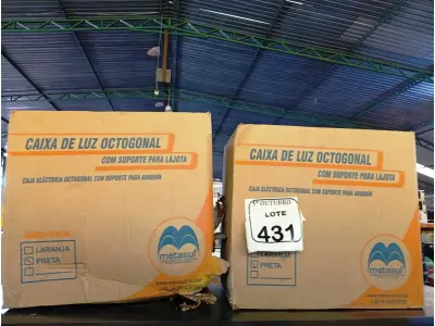 LOTE 431 - 02 CAIXAS DE LUZ OCTOGONAL. (NO ESTADO) ATENÇÃO! FAZER A VISITAÇÃO ANTES DE ARREMATAR, NÃO SABEMOS SE FUNCIONA. LEILÃO NÃO TEM GARANTIA E NEM DEVOLUÇÃO, SUJEITO A POSSÍVEIS AVARIAS VISÍVEIS/OCULTAS E/OU AUSÊNCIA DE COMPONENTES.