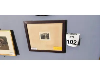 LOTE 102 - LUIS GALINA NETO ÁGUA FORTE. (NO ESTADO)