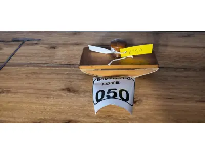 LOTE 050 - 01 MATA BORRÃO. (NO ESTADO)
