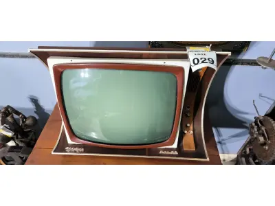 LOTE 029 - 01 TELEVISÃO PHILCO SOLID STAZ 3D. (NO ESTADO)