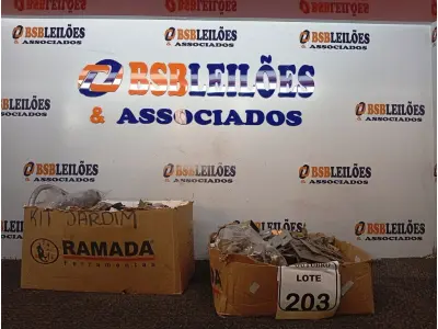 LOTE 203 - 01 LOTE COM DIVERSOS MATERIAIS ELÉTRICOS E HIDRÁULICOS. (NO ESTADO) ATENÇÃO! FAZER A VISITAÇÃO ANTES DE ARREMATAR, NÃO SABEMOS SE FUNCIONA. LEILÃO NÃO TEM GARANTIA E NEM DEVOLUÇÃO, SUJEITO A POSSÍVEIS AVARIAS VISÍVEIS/OCULTAS E/OU AUSÊNCIA DE COMPONENTES.