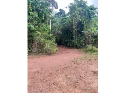 LOTE 001 - 01 CESSÃO DE DIREITO DE 01 CASA COM LOTE DE 1.200,00 M², NA RUA 04 LOTE Nº 16/17. SITUADO NO CONDOMÍNIO DE PESCA HORIZONTE DOURADO - LUZIÂNIA - GO.  (DOCUMENTOS EM ANEXO) (AGENDAR VISITAÇÃO 61-99445-2031).