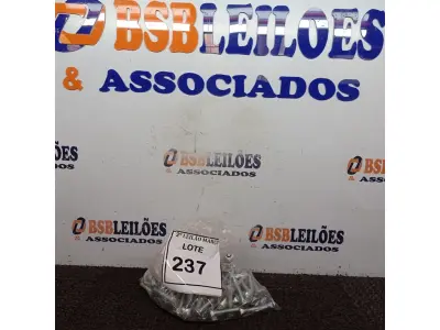 LOTE 237 - 01 LOTE COM DIVERSOS PARAFUSOS. (NOVO) (NO ESTADO) ATENÇÃO! FAZER A VISITAÇÃO ANTES DE ARREMATAR, NÃO SABEMOS SE FUNCIONA. LEILÃO NÃO TEM GARANTIA E NEM DEVOLUÇÃO, SUJEITO A POSSÍVEIS AVARIAS VISÍVEIS/OCULTAS E/OU AUSÊNCIA DE COMPONENTES.