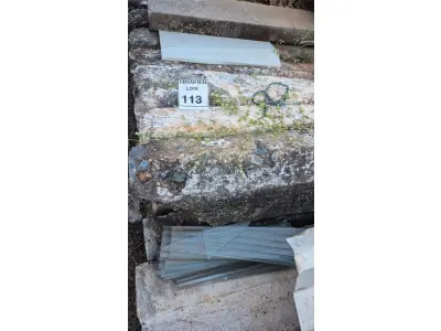 LOTE 113 - 01 LOTE COM MEIO FIO.  (NO ESTADO) ATENÇÃO! FAZER A VISITAÇÃO ANTES DE ARREMATAR, NÃO SABEMOS SE FUNCIONA. LEILÃO NÃO TEM GARANTIA E NEM DEVOLUÇÃO, SUJEITO A POSSÍVEIS AVARIAS VISÍVEIS/OCULTAS E/OU AUSÊNCIA DE COMPONENTES.
