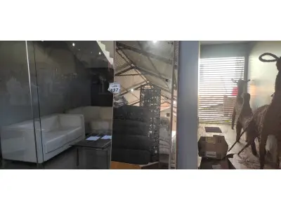 LOTE 637 - 02 ESPELHOS DE GUARDA ROUPAS.  (NO ESTADO) ATENÇÃO! FAZER A VISITAÇÃO ANTES DE ARREMATAR, NÃO SABEMOS SE FUNCIONA, LEILÃO NÃO TEM GARANTIA E NEM DEVOLUÇÃO, SUJEITO A POSSÍVEIS AVARIAS VISÍVEIS/OCULTAS E/OU AUSÊNCIA DE COMPONENTES.