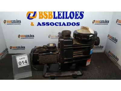 LOTE 014 - 01 BOMBA COM PRÉ FILTRO DE PISCINA. (NO ESTADO) ATENÇÃO! FAZER A VISITAÇÃO ANTES DE ARREMATAR, NÃO SABEMOS SE FUNCIONA, LEILÃO NÃO TEM GARANTIA E NEM DEVOLUÇÃO, SUJEITO A POSSÍVEIS AVARIAS VISÍVEIS/OCULTAS E/OU AUSÊNCIA DE COMPONENTES.