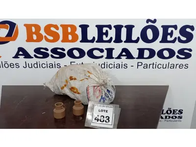 LOTE 483 - 01 LOTE COM GRANDE QUANTIDADE DE REDUÇÕES DE MEDIDAS DIVERSAS. (NO ESTADO) ATENÇÃO! FAZER A VISITAÇÃO ANTES DE ARREMATAR, NÃO SABEMOS SE FUNCIONA, LEILÃO NÃO TEM GARANTIA E NEM DEVOLUÇÃO, SUJEITO A POSSÍVEIS AVARIAS VISÍVEIS/OCULTAS E/OU AUSÊNCIA DE COMPONENTES.