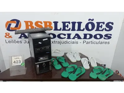 LOTE 423 - 06 PARES DE SANDÁLIAS HAVAIANAS. (NO ESTADO) ATENÇÃO! FAZER A VISITAÇÃO ANTES DE ARREMATAR, NÃO SABEMOS SE FUNCIONA. LEILÃO NÃO TEM GARANTIA E NEM DEVOLUÇÃO, SUJEITO A POSSÍVEIS AVARIAS VISÍVEIS/OCULTAS E/OU AUSÊNCIA DE COMPONENTES.