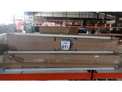 LOTE 012 - 01 LOTE COM GRANDE QUANTIDADE DE LÂMPADAS LED. (NO ESTADO) ATENÇÃO! FAZER A VISITAÇÃO ANTES DE ARREMATAR, NÃO SABEMOS SE FUNCIONA, LEILÃO NÃO TEM GARANTIA E NEM DEVOLUÇÃO, SUJEITO A POSSÍVEIS AVARIAS VISÍVEIS/OCULTAS E/OU AUSÊNCIA DE COMPONENTES.