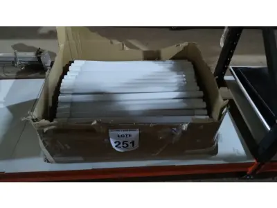 LOTE 251 - 01 LOTE COM GRANDE QUANTIDADE DE LÂMPADAS LED. (NO ESTADO) ATENÇÃO! FAZER A VISITAÇÃO ANTES DE ARREMATAR, NÃO SABEMOS SE FUNCIONA, LEILÃO NÃO TEM GARANTIA E NEM DEVOLUÇÃO, SUJEITO A POSSÍVEIS AVARIAS VISÍVEIS/OCULTAS E/OU AUSÊNCIA DE COMPONENTES.