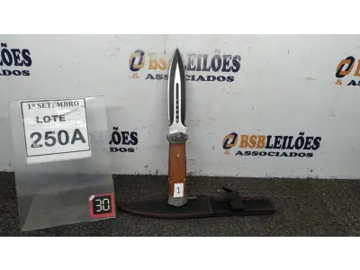 LOTE 250 - 01 PUNHAL IMPORTADA AÇO INOXIDÁVEL CABO EM MADEIRA   FULL TANG BAINHA DE NYLON TAMANHO TOTAL 28CM PESO 288G.  (NO ESTADO) ATENÇÃO! FAZER A VISITAÇÃO ANTES DE ARREMATAR, NÃO SABEMOS SE FUNCIONA. LEILÃO NÃO TEM GARANTIA E NEM DEVOLUÇÃO, SUJEITO A POSSÍVEIS AVARIAS VISÍVEIS/OCULTAS E/OU AUSÊNCIA DE COMPONENTES.