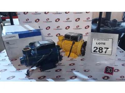 LOTE 287 - 02 MOTOBOMBAS PERIFÉRICAS. (NO ESTADO) ATENÇÃO! FAZER A VISITAÇÃO ANTES DE ARREMATAR, NÃO SABEMOS SE FUNCIONA, LEILÃO NÃO TEM GARANTIA E NEM DEVOLUÇÃO, SUJEITO A POSSÍVEIS AVARIAS VISÍVEIS/OCULTAS E/OU AUSÊNCIA DE COMPONENTES.