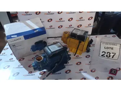 LOTE 287 - 02 MOTOBOMBAS PERIFÉRICAS. (NO ESTADO) ATENÇÃO! FAZER A VISITAÇÃO ANTES DE ARREMATAR, NÃO SABEMOS SE FUNCIONA, LEILÃO NÃO TEM GARANTIA E NEM DEVOLUÇÃO, SUJEITO A POSSÍVEIS AVARIAS VISÍVEIS/OCULTAS E/OU AUSÊNCIA DE COMPONENTES.