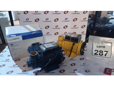 LOTE 287 - 02 MOTOBOMBAS PERIFÉRICAS. (NO ESTADO) ATENÇÃO! FAZER A VISITAÇÃO ANTES DE ARREMATAR, NÃO SABEMOS SE FUNCIONA, LEILÃO NÃO TEM GARANTIA E NEM DEVOLUÇÃO, SUJEITO A POSSÍVEIS AVARIAS VISÍVEIS/OCULTAS E/OU AUSÊNCIA DE COMPONENTES.