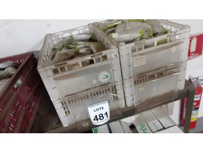 LOTE 481 - 01 LOTE COM SUPORTES DE PLACA CEGA 4X4 E 4X2. (CAIXA ORGANIZADORA NAO INCLUSA) (NO ESTADO) ATENÇÃO! FAZER A VISITAÇÃO ANTES DE ARREMATAR, NÃO SABEMOS SE FUNCIONA, LEILÃO NÃO TEM GARANTIA E NEM DEVOLUÇÃO, SUJEITO A POSSÍVEIS AVARIAS VISÍVEIS/OCULTAS E/OU AUSÊNCIA DE COMPONENTES.