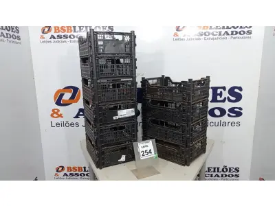 LOTE 254 - 10 CESTAS ORGANIZADORAS. (NO ESTADO) ATENÇÃO! FAZER A VISITAÇÃO ANTES DE ARREMATAR, NÃO SABEMOS SE FUNCIONA, LEILÃO NÃO TEM GARANTIA E NEM DEVOLUÇÃO, SUJEITO A POSSÍVEIS AVARIAS VISÍVEIS/OCULTAS E/OU AUSÊNCIA DE COMPONENTES.