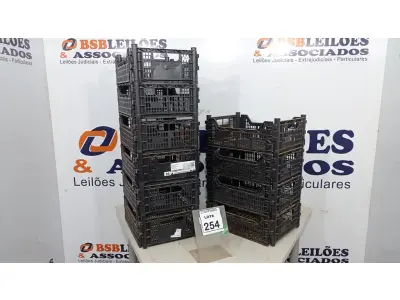 LOTE 254 - 10 CESTAS ORGANIZADORAS. (NO ESTADO) ATENÇÃO! FAZER A VISITAÇÃO ANTES DE ARREMATAR, NÃO SABEMOS SE FUNCIONA, LEILÃO NÃO TEM GARANTIA E NEM DEVOLUÇÃO, SUJEITO A POSSÍVEIS AVARIAS VISÍVEIS/OCULTAS E/OU AUSÊNCIA DE COMPONENTES.