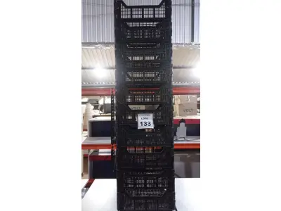 LOTE 133 - 10 CESTAS ORGANIZADORAS. (NO ESTADO) ATENÇÃO! FAZER A VISITAÇÃO ANTES DE ARREMATAR, NÃO SABEMOS SE FUNCIONA, LEILÃO NÃO TEM GARANTIA E NEM DEVOLUÇÃO, SUJEITO A POSSÍVEIS AVARIAS VISÍVEIS/OCULTAS E/OU AUSÊNCIA DE COMPONENTES.