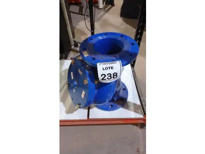LOTE 238 - 01 VÁLVULA DE RETENÇÃO TIPO Y FLANGEADA. (NO ESTADO) ATENÇÃO! FAZER A VISITAÇÃO ANTES DE ARREMATAR, NÃO SABEMOS SE FUNCIONA, LEILÃO NÃO TEM GARANTIA E NEM DEVOLUÇÃO, SUJEITO A POSSÍVEIS AVARIAS VISÍVEIS/OCULTAS E/OU AUSÊNCIA DE COMPONENTES.