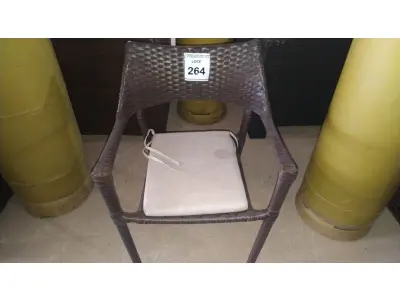 LOTE 264 - 01 CADEIRA DE JARDIM. (NO ESTADO EM QUE SE ENCONTRA. SUJEITO A AVARIAS OCULTAS/VISÍVEIS.) BH1647A