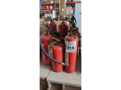 LOTE 218 - 09 EXTINTORES DE INCÊNDIO DE TAMANHOS DIVERSOS. (NO ESTADO) ATENÇÃO! FAZER A VISITAÇÃO ANTES DE ARREMATAR, NÃO SABEMOS SE FUNCIONA, LEILÃO NÃO TEM GARANTIA E NEM DEVOLUÇÃO, SUJEITO A POSSÍVEIS AVARIAS VISÍVEIS/OCULTAS E/OU AUSÊNCIA DE COMPONENTES.
