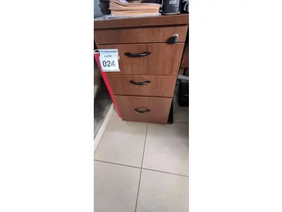 LOTE 024 - 01 GAVETEIRO EM MADEIRA COM 03 GAVETAS NA COR MARROM. (NO ESTADO) ATENÇÃO! FAZER A VISITAÇÃO ANTES DE ARREMATAR, NÃO SABEMOS SE FUNCIONA, LEILÃO NÃO TEM GARANTIA E NEM DEVOLUÇÃO, SUJEITO A POSSÍVEIS AVARIAS VISÍVEIS/OCULTAS E/OU AUSÊNCIA DE COMPONENTES.