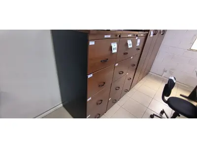 LOTE 028 - 01 ARQUIVO EM MADEIRA COM 04 GAVETAS. (NO ESTADO) ATENÇÃO! FAZER A VISITAÇÃO ANTES DE ARREMATAR, NÃO SABEMOS SE FUNCIONA, LEILÃO NÃO TEM GARANTIA E NEM DEVOLUÇÃO, SUJEITO A POSSÍVEIS AVARIAS VISÍVEIS/OCULTAS E/OU AUSÊNCIA DE COMPONENTES.