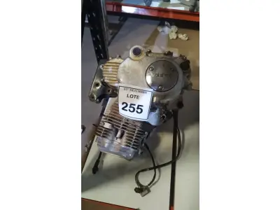 LOTE 255 - 01 MOTOR DE MOTO DAFRA. (NO ESTADO) ATENÇÃO! FAZER A VISITAÇÃO ANTES DE ARREMATAR, NÃO SABEMOS SE FUNCIONA, LEILÃO NÃO TEM GARANTIA E NEM DEVOLUÇÃO, SUJEITO A POSSÍVEIS AVARIAS VISÍVEIS/OCULTAS E/OU AUSÊNCIA DE COMPONENTES.